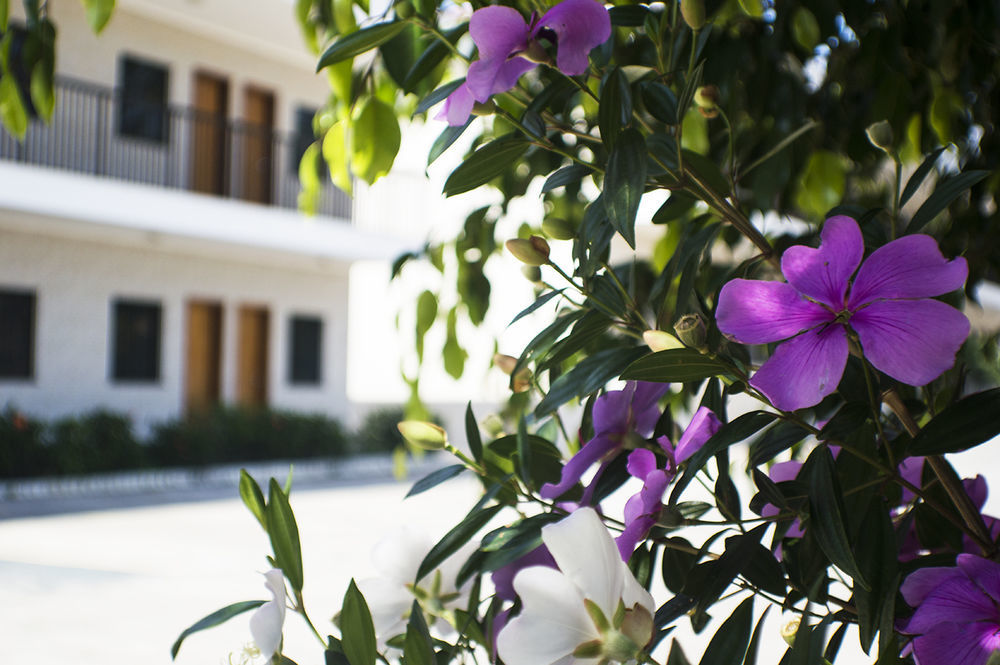 Hotel Villagio D'Italia Vinhedo Esterno foto